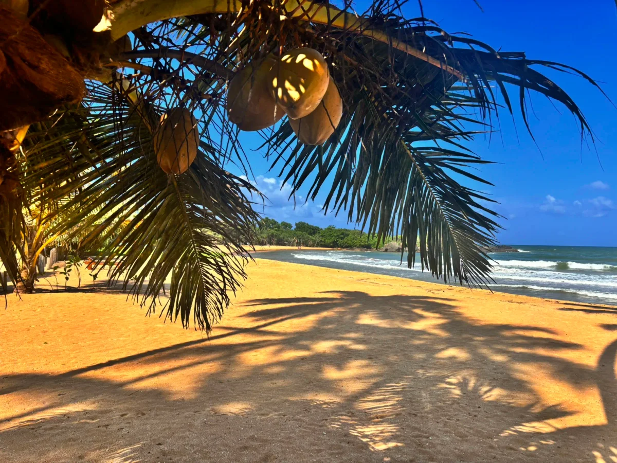 Sandy beach in front of Villa Lanka Flair