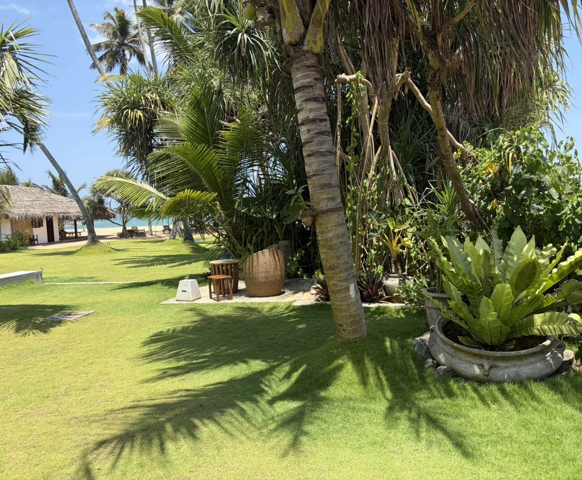 Tropical garden at Villa Lanka Flair